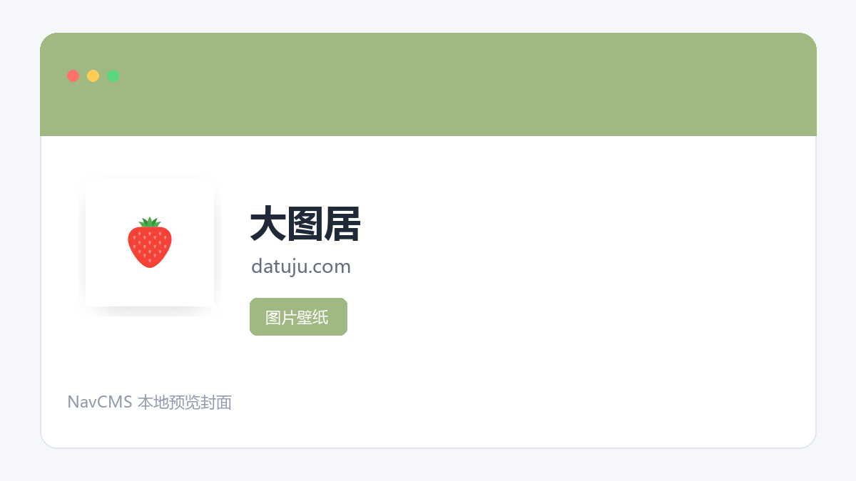 大图居 官方网站页面预览图