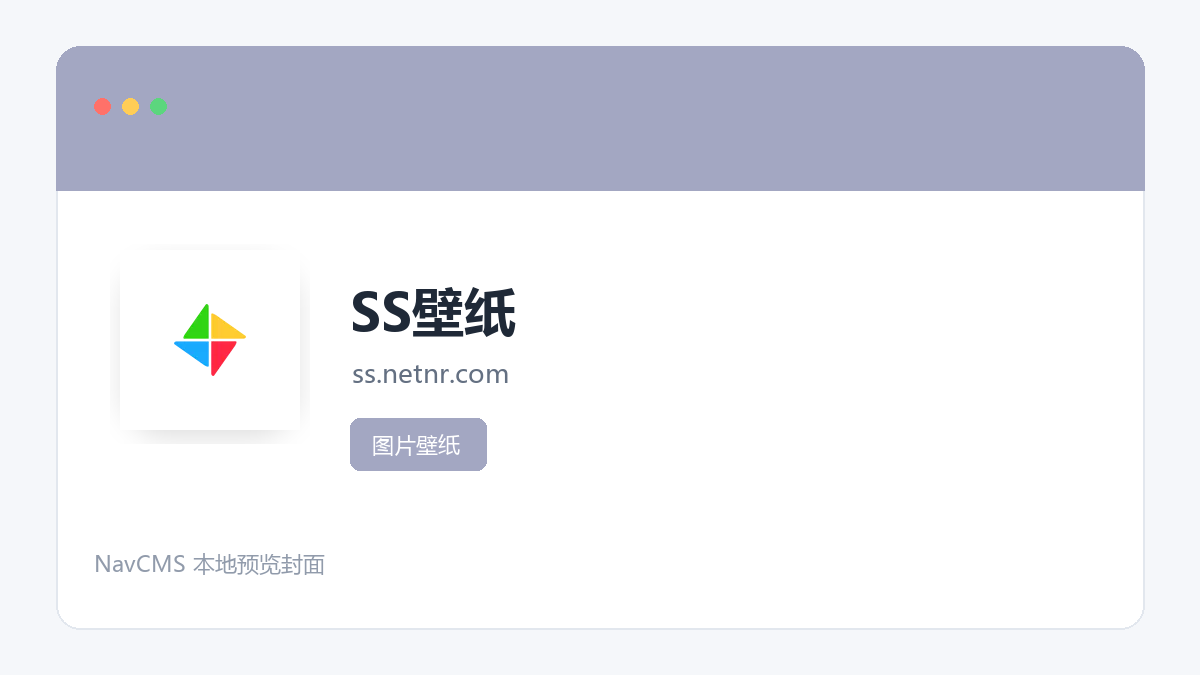 SS壁纸 官方网站页面预览图