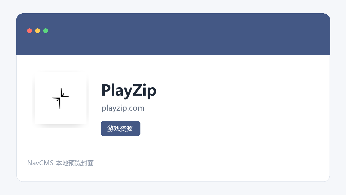 PlayZip 官方网站页面预览图