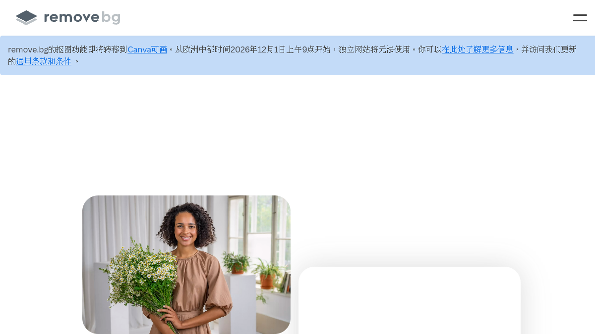 Removebg 官方网站页面预览图