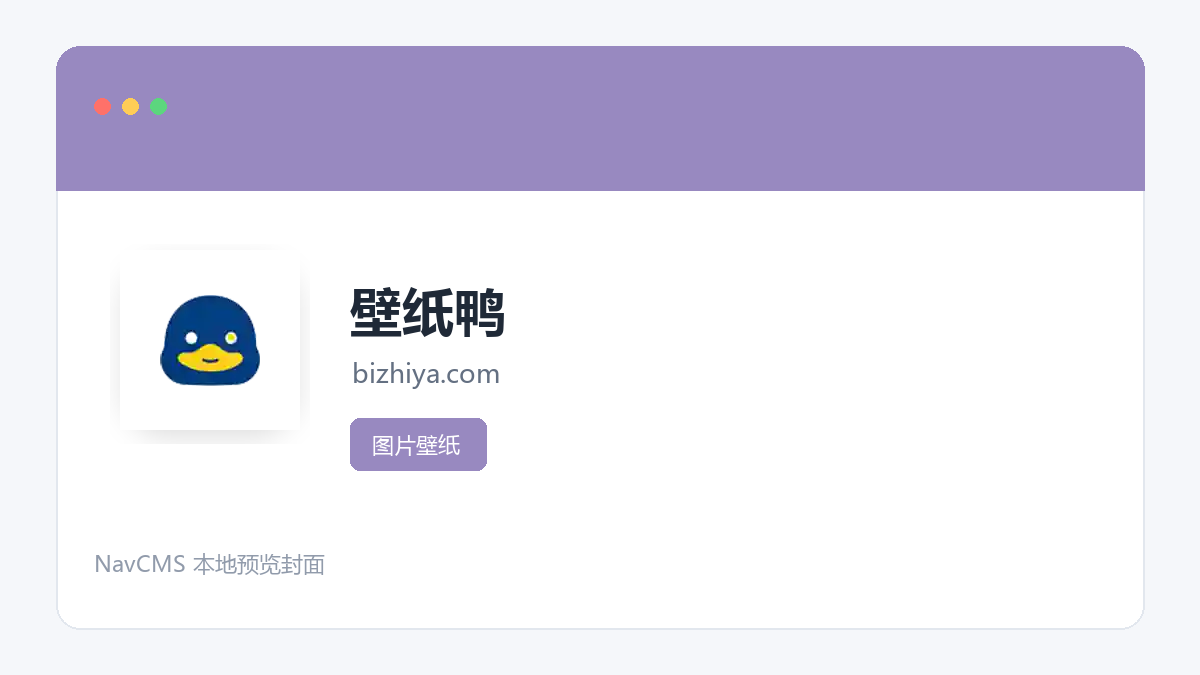 壁纸鸭 官方网站页面预览图
