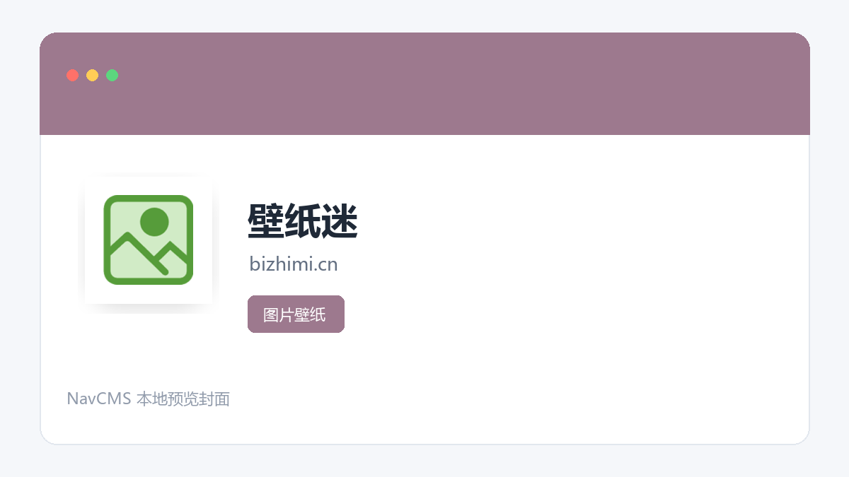 壁纸迷 官方网站页面预览图